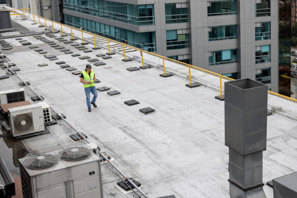 Best Roof Insulation Installation  in St Stephen, SC